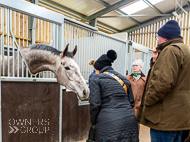 BP240223-83 - Owners looking around the stables